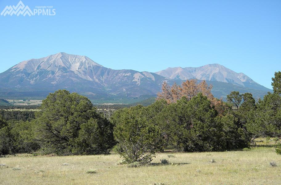 Bear Creek Road - Photo 1