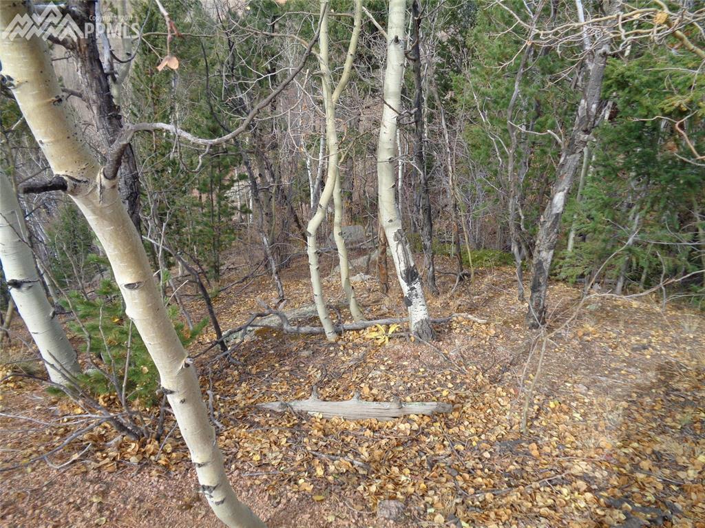 161 Golden Cycle Circle - Photo 1