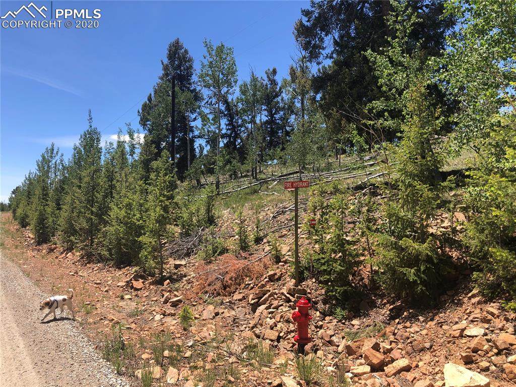 00 Middle Fork Vista Vista - Photo 1
