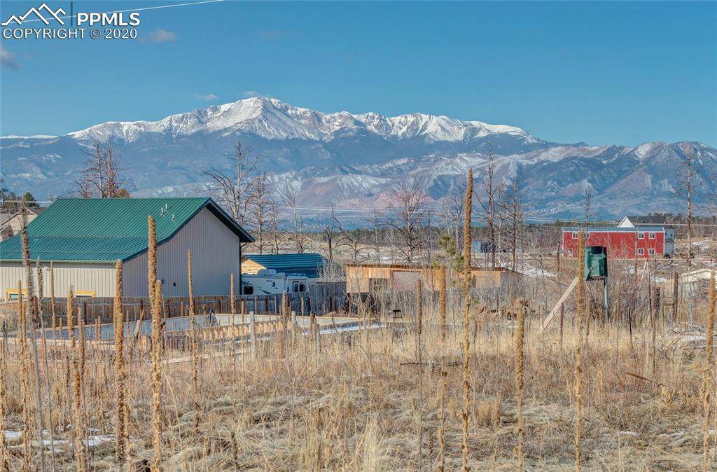 13090 Buena Vista Drive - Photo 1