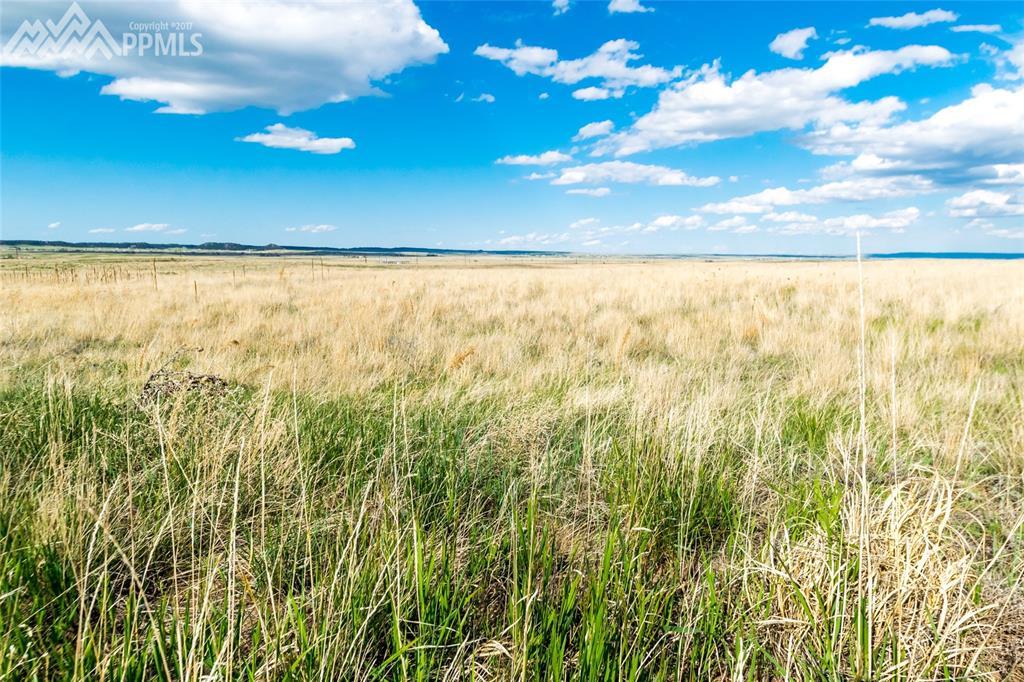 11975 Silver Concho Trail - Photo 1