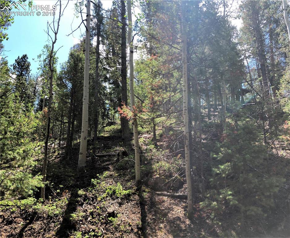 239 Osoeola Road - Photo 1