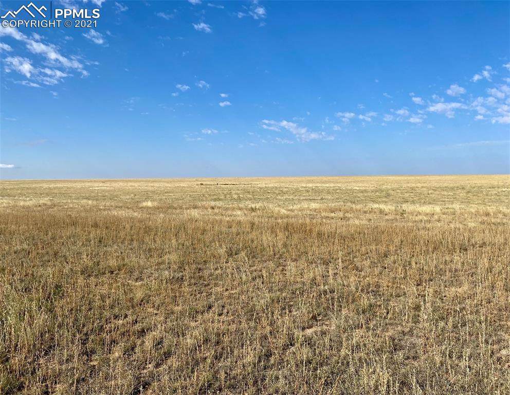 1490 Sengbeil Road - Photo 1
