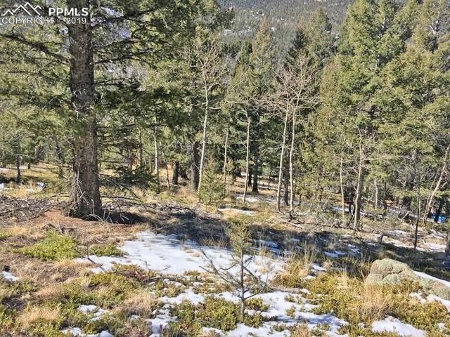 0 Eagle Mountain Road - Photo 1
