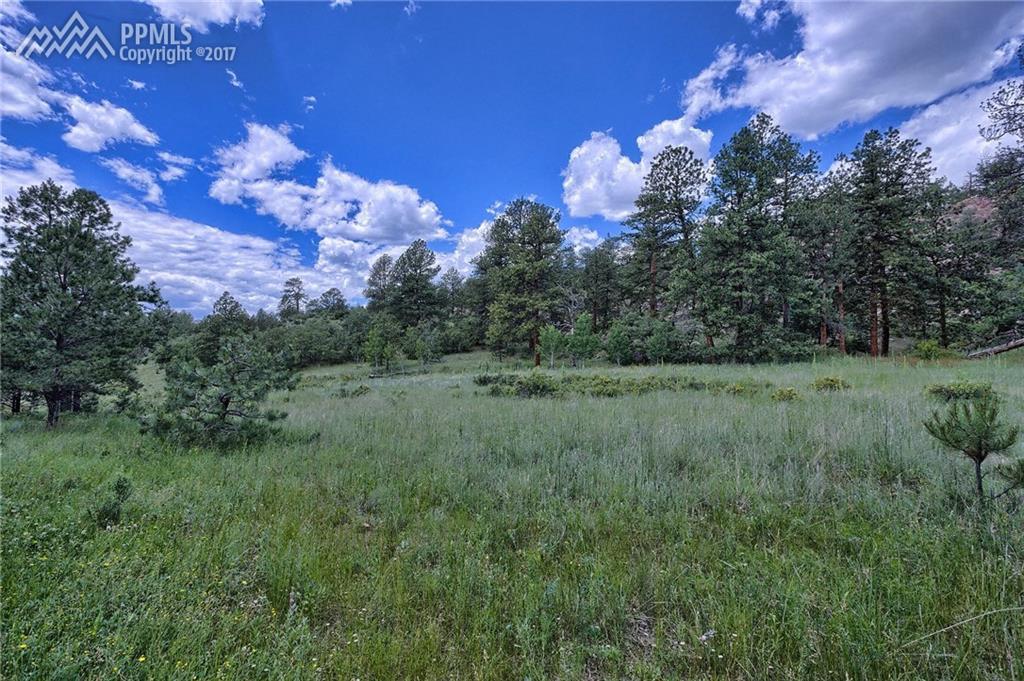 202 Pike View Drive - Photo 1