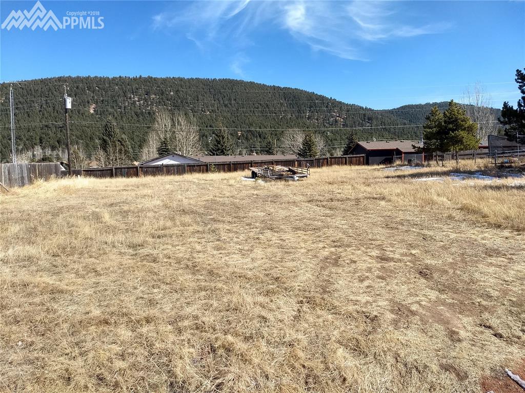 1013 Baldwin Street - Photo 1