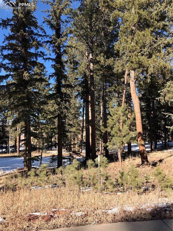 640 Chipmunk Drive - Photo 1