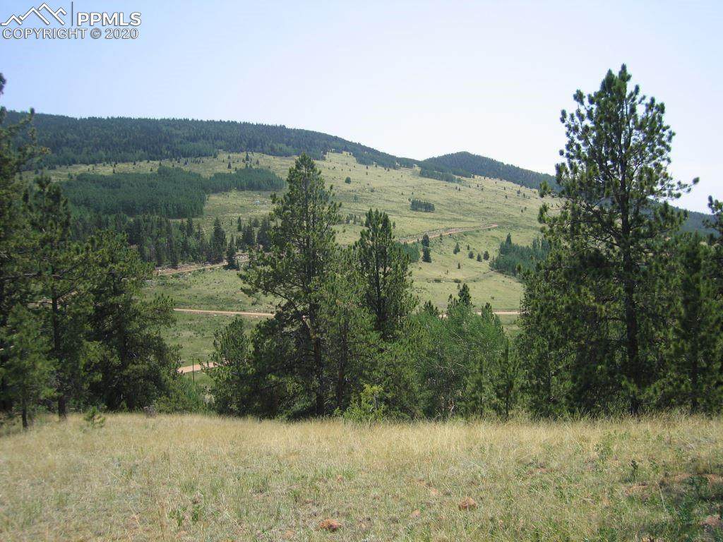 L7 CCME 19 Unknown Ridge - Photo 1