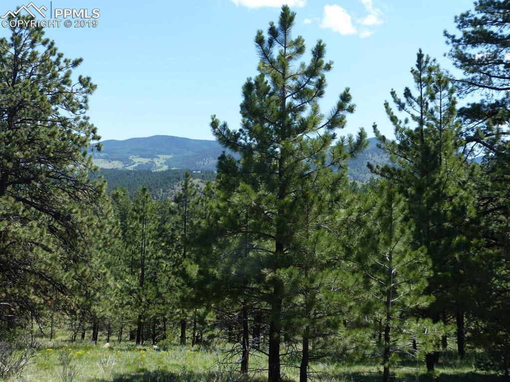 1391 Music Mountain Drive - Photo 1