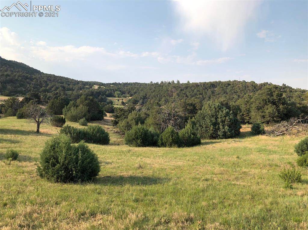 Lot 90 Rugby Mines Road - Photo 1