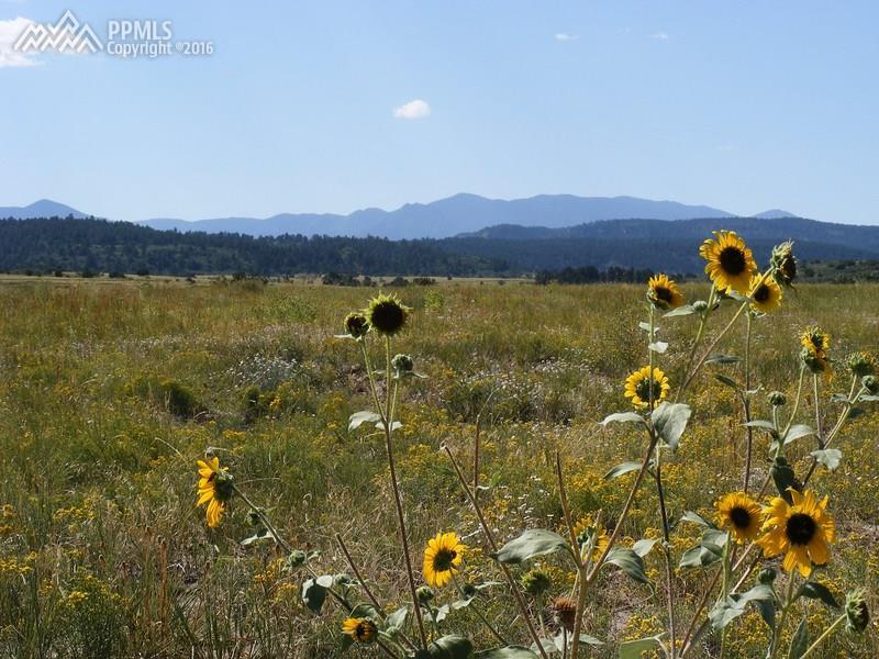 19 Lago Vistas Boulevard - Photo 1