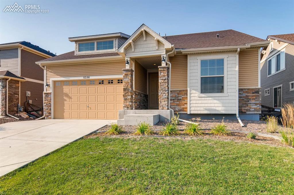 8286 Birch Tree Loop - Photo 1
