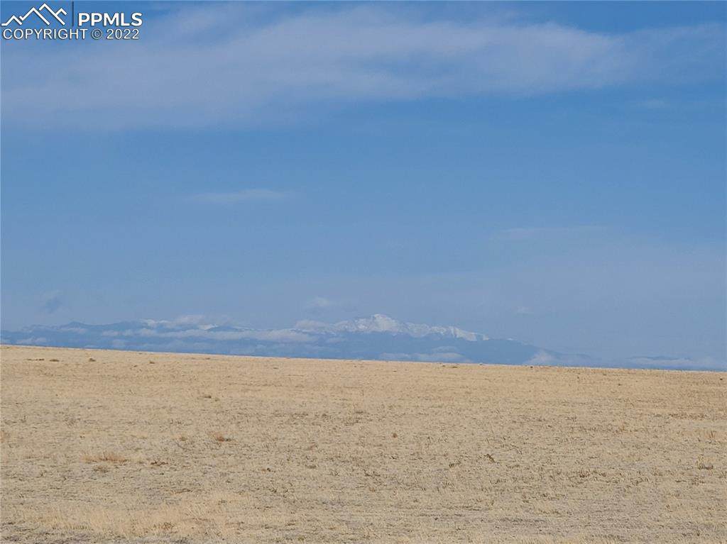 830 Sengbeil Road - Photo 1