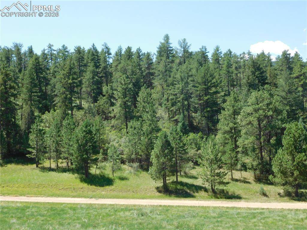 4668 Comanche Drive - Photo 1