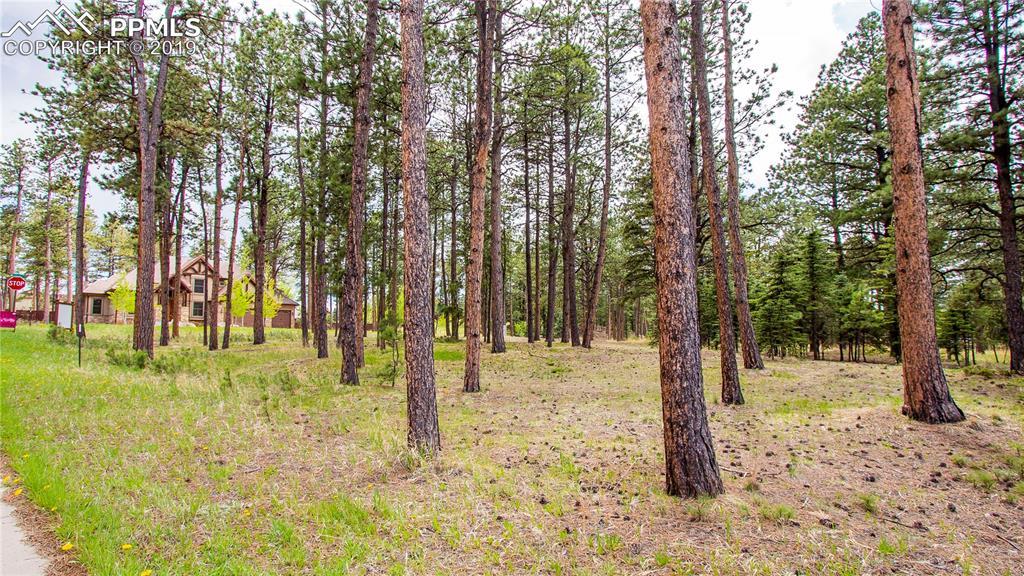 675 Chipmunk Drive - Photo 1