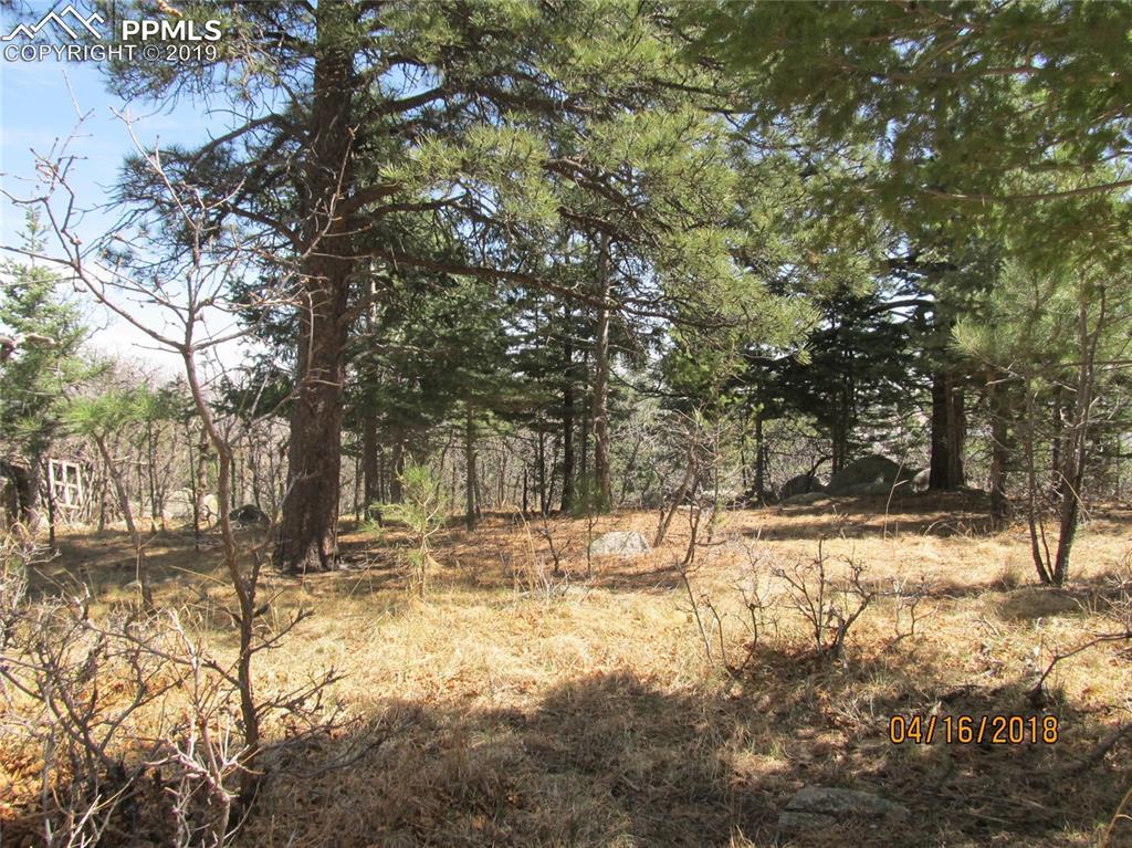 6045 Buttermere Drive - Photo 1