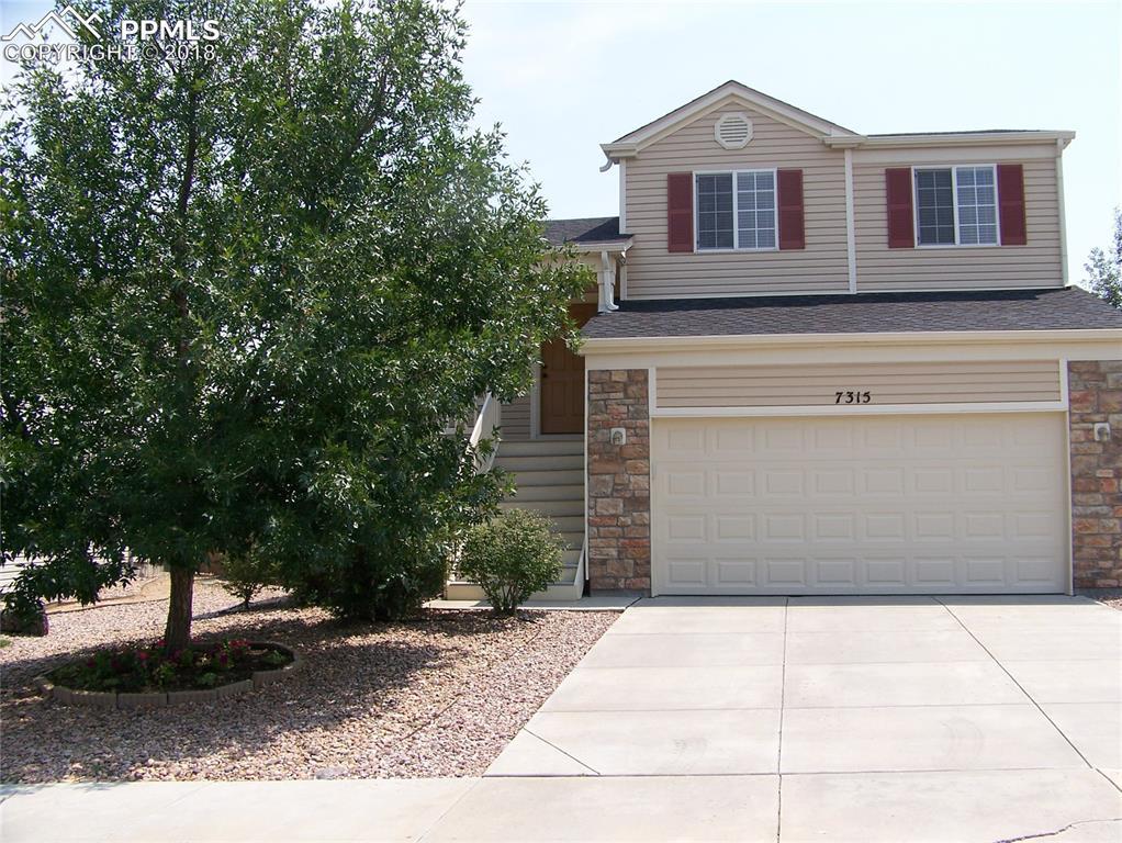 7315 Village Meadows Drive - Photo 1