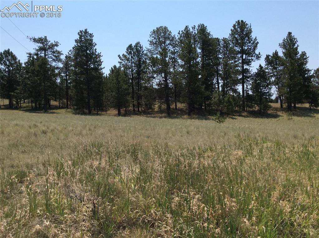 484 Due South Road - Photo 1