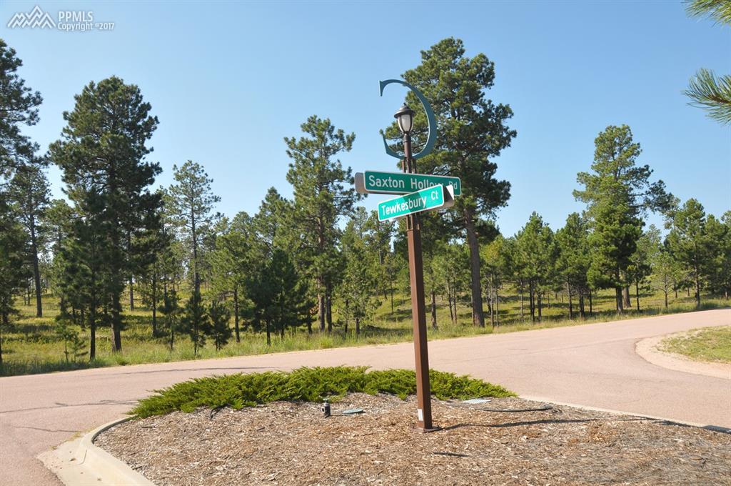 5225 Saxton Hollow Road - Photo 1