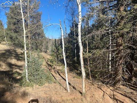 143 & 167 Mt. Powderhorn Lane - Photo 1
