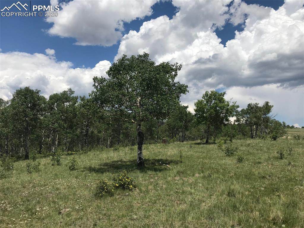 3243 County Road 86 - Photo 1