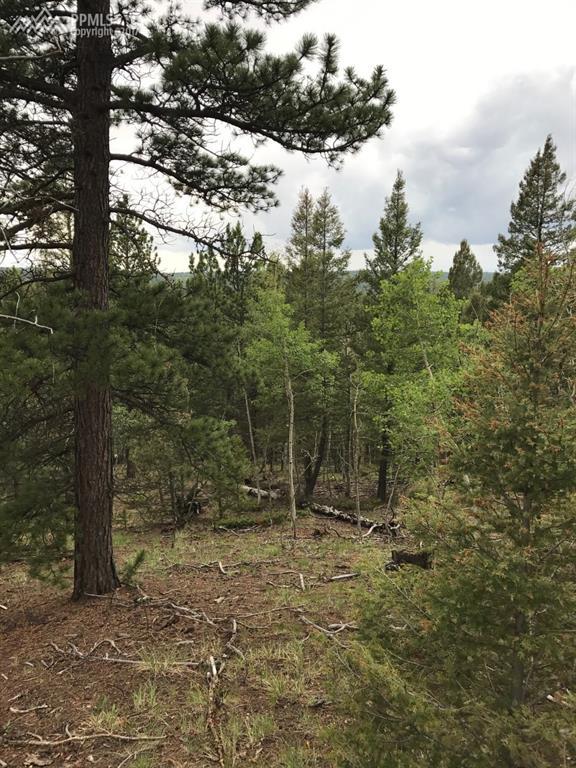 235 Pike View Drive - Photo 1