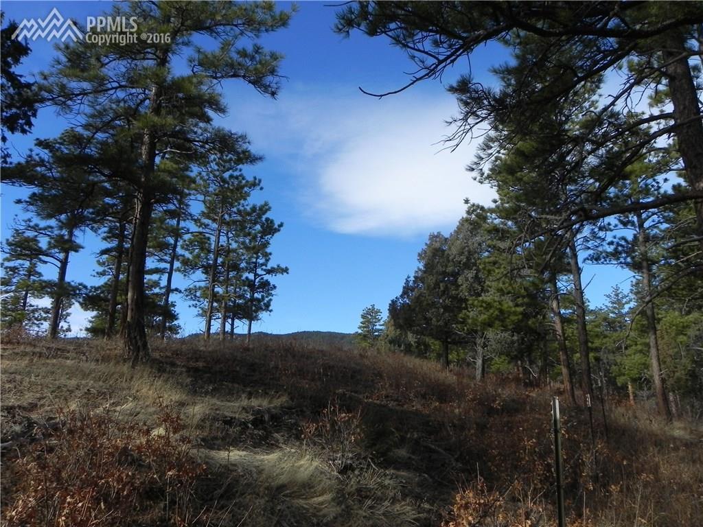 8275 Bannock Drive - Photo 1