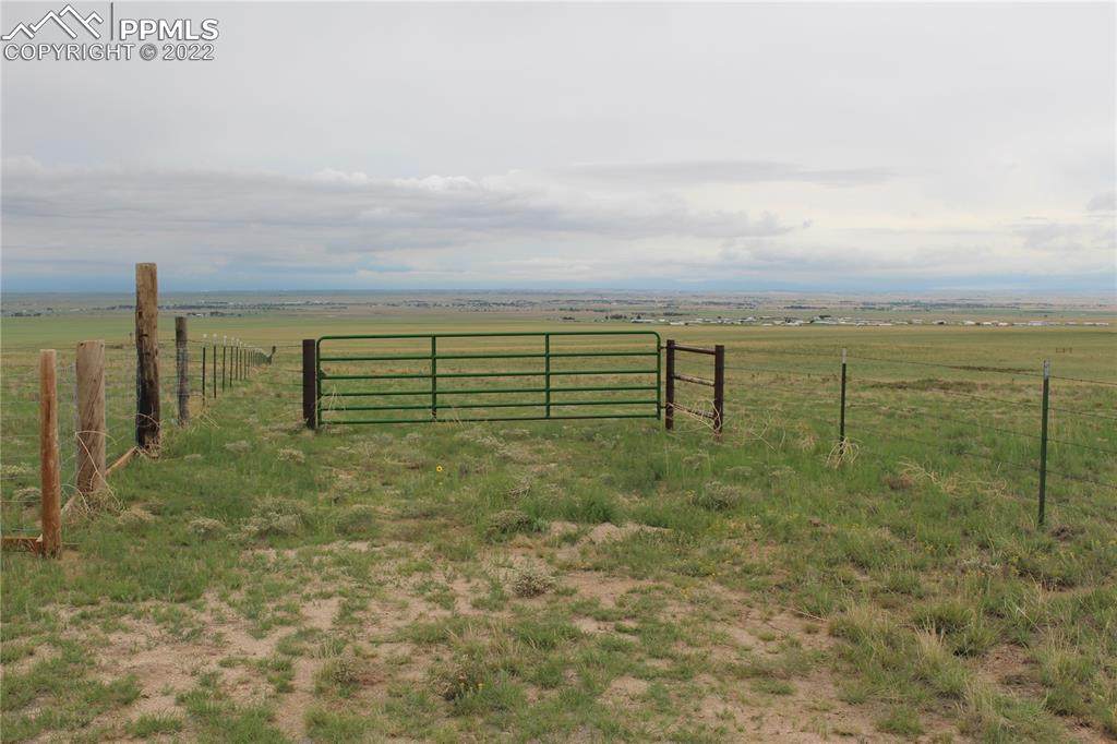 1350 High Prairie Point - Photo 1