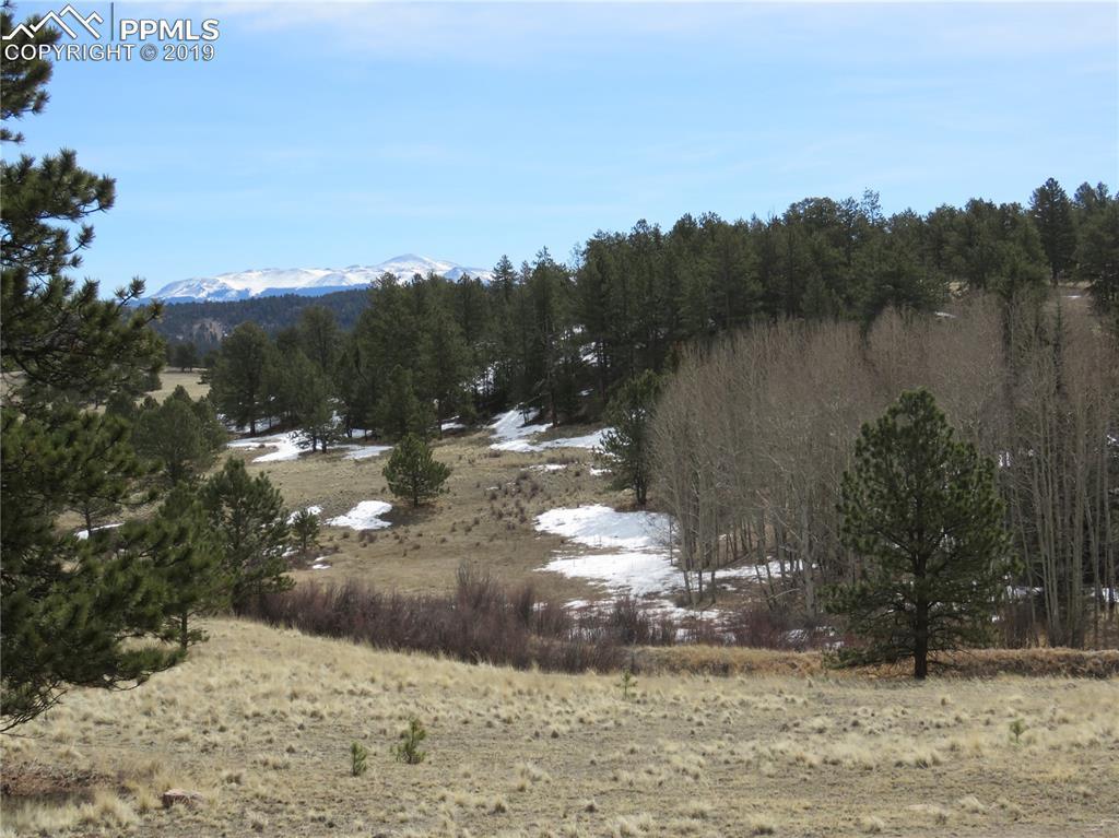 1562 County 403 Road - Photo 1