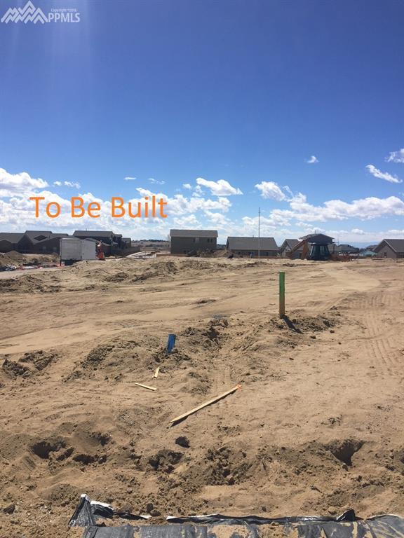 11346 Mt. Angel Heights - Photo 1