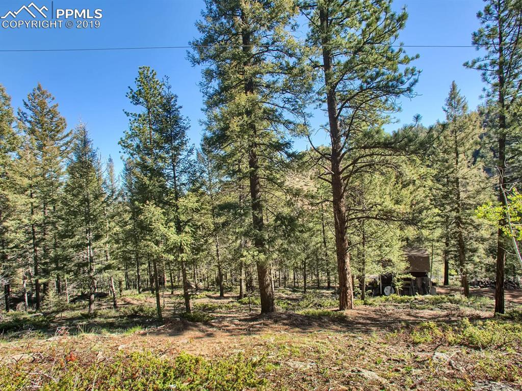 6621 County 1 Road - Photo 1