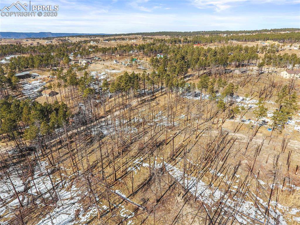13285 Ravine Drive - Photo 1