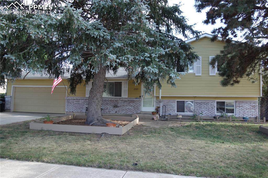 2925 Squaw Valley Drive - Photo 1