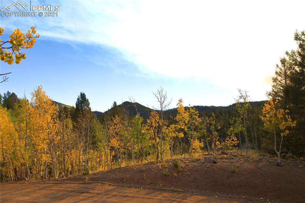 728 Little Topsey Drive - Photo 1