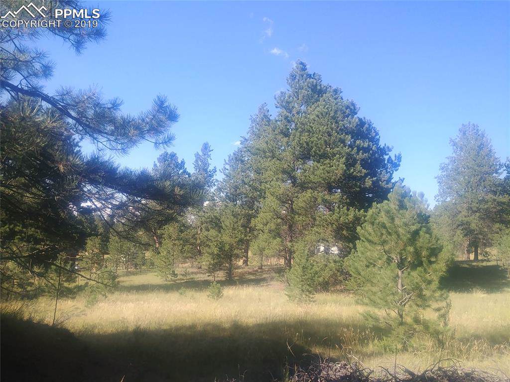 81 Rhyolite Lane - Photo 1