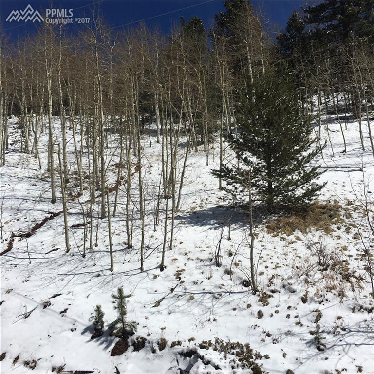 80 Beaver Pond Road - Photo 1