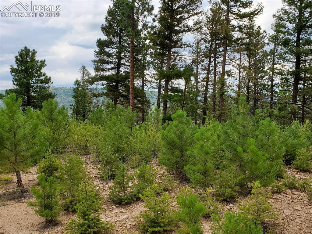 681 Elk View Court - Photo 1