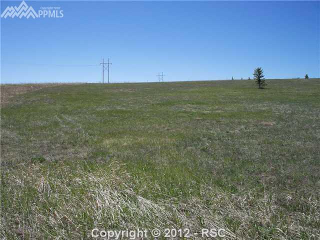 20383 Royal Troon Drive - Photo 1