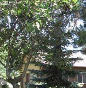 235 Rangely Drive - Photo 1