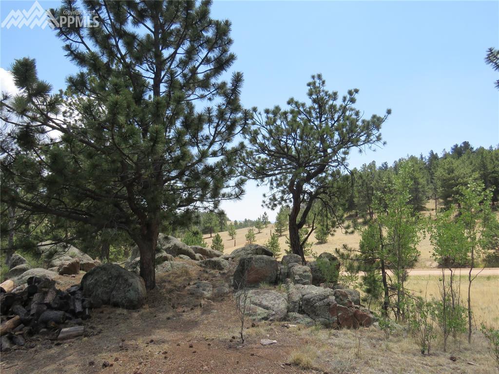 87 Mountain Lane - Photo 1