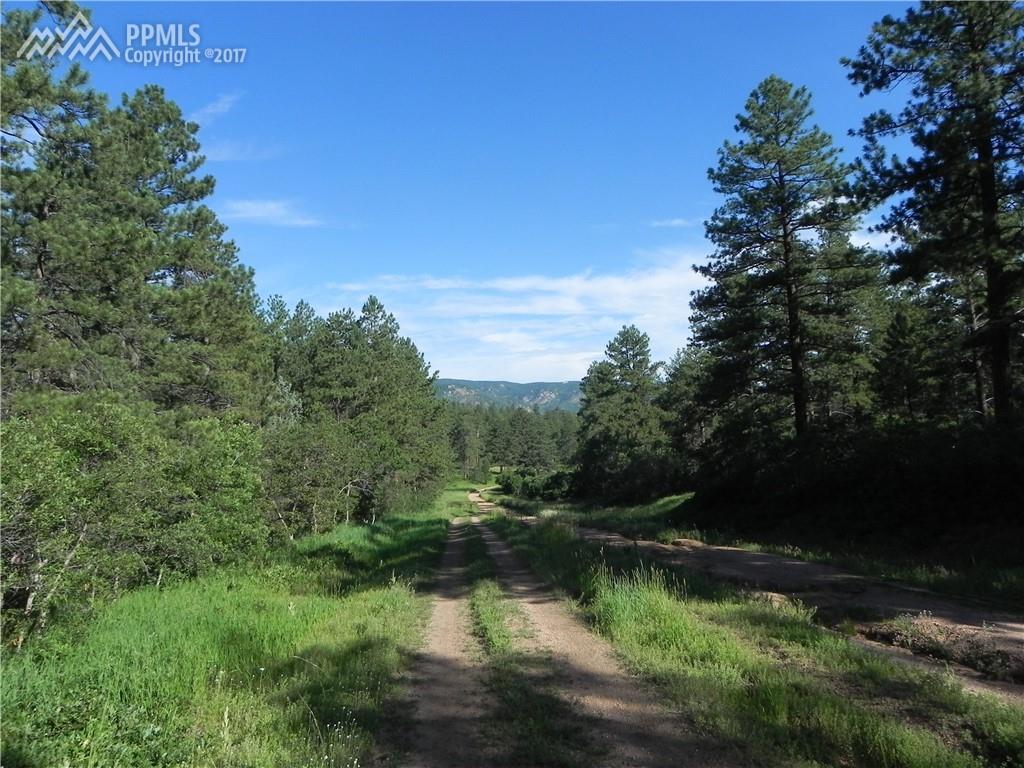4955 Mohawk Drive - Photo 1