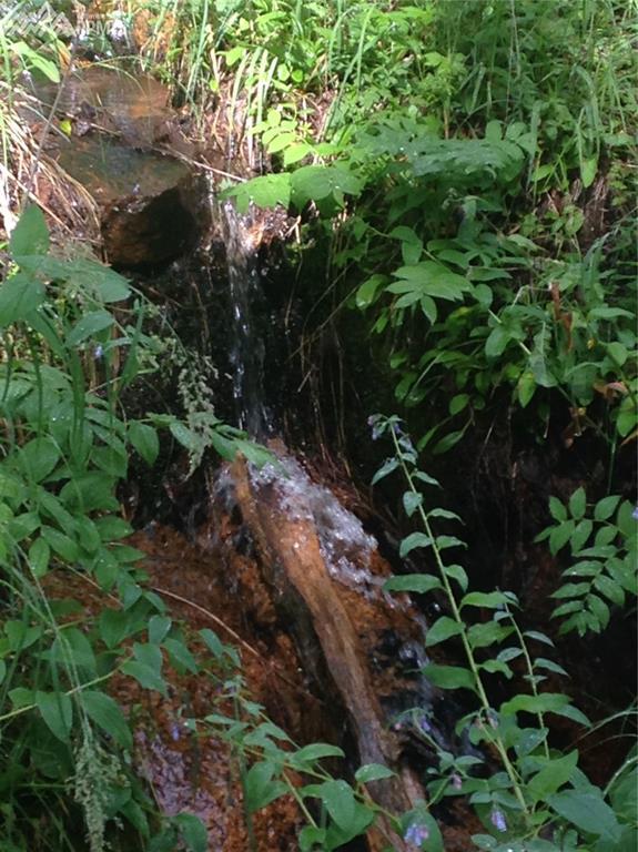 TBD Pier Road - Photo 1