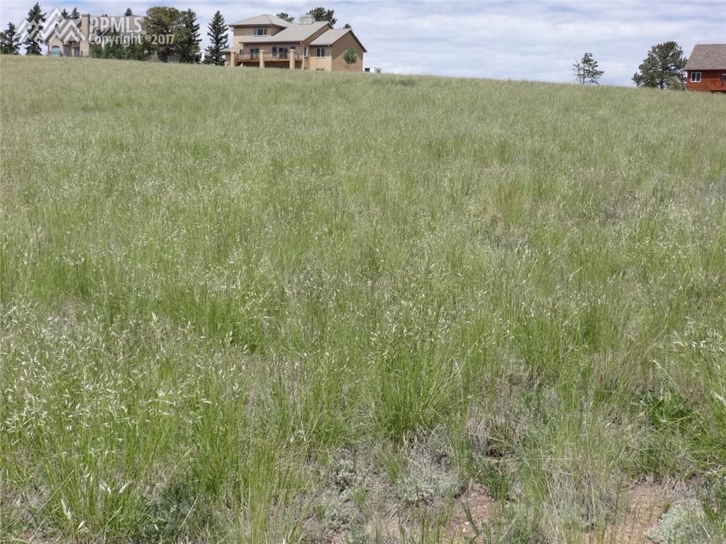 409 Meadow Park Drive - Photo 1