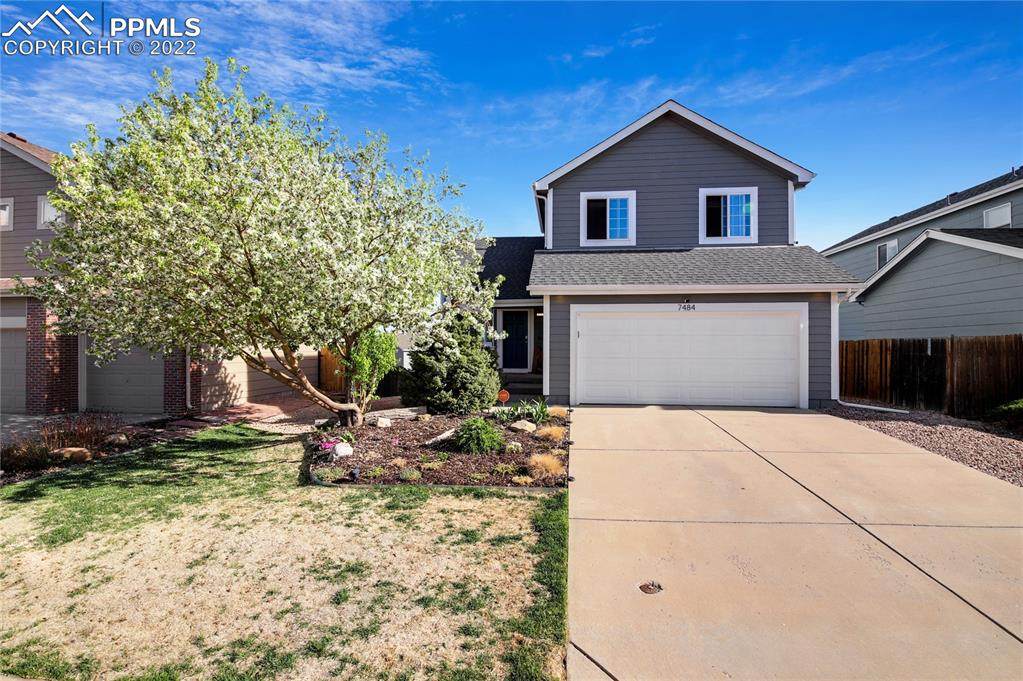 7484 Straggler Circle - Photo 1