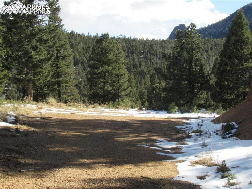 113 Steep Road - Photo 1