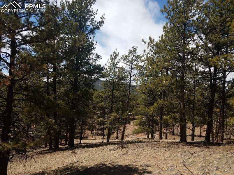 393 Buckridge Road - Photo 1