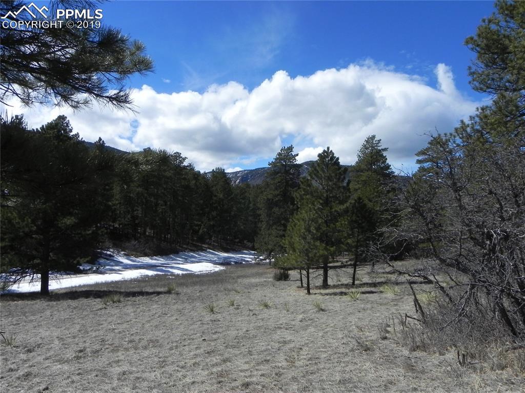 4755 Mohawk Drive - Photo 1