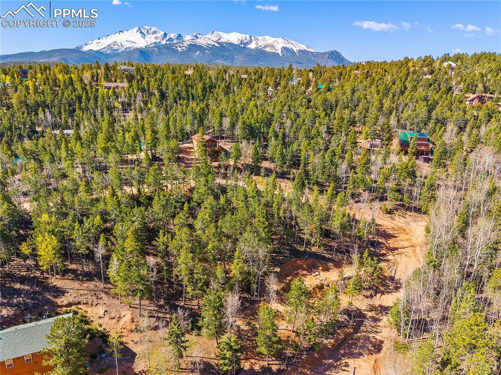 413 Wakanda Trail - Photo 1
