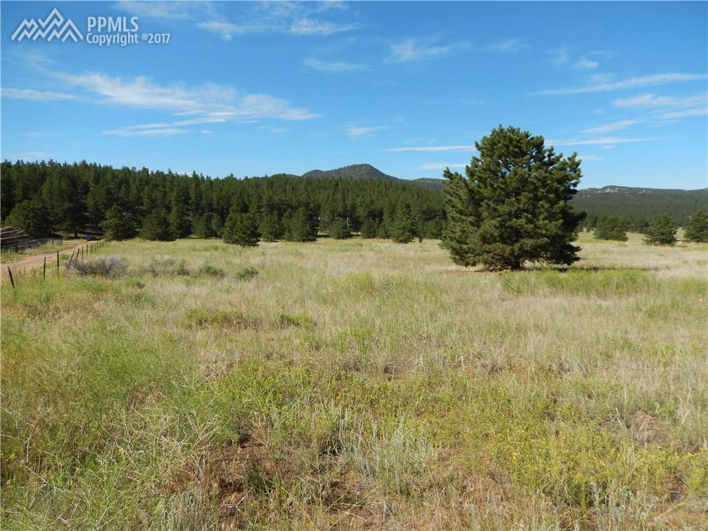 TBD Highway 24 Highway - Photo 1