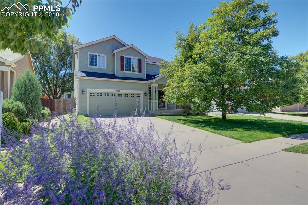 2520 Pony Tracks Drive - Photo 1